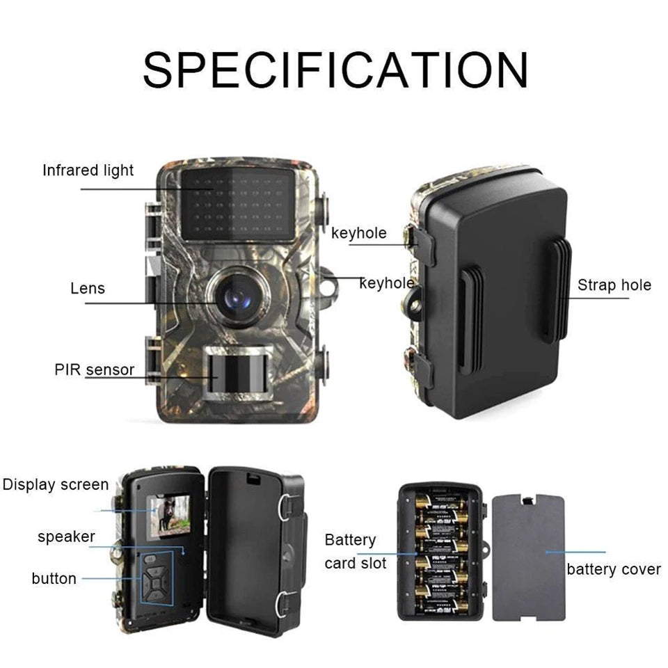 Day & Night Vision Hunting Trail Camera